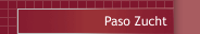 Paso Zucht